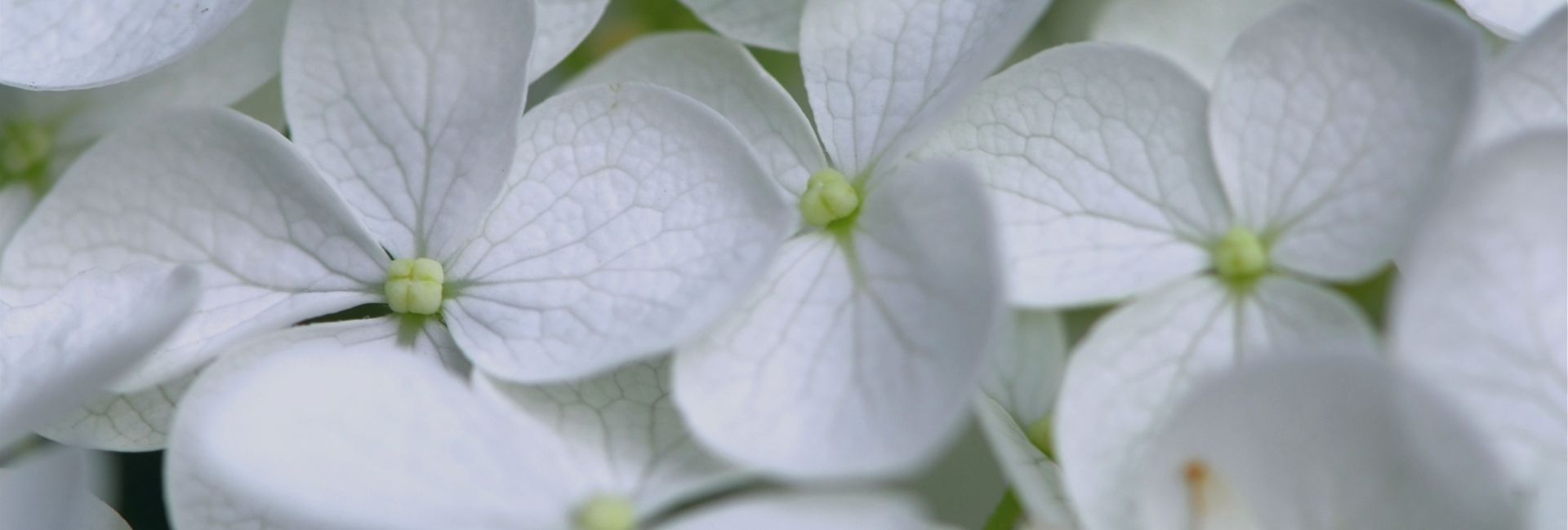 So, what new ‘normal’ are you choosing?