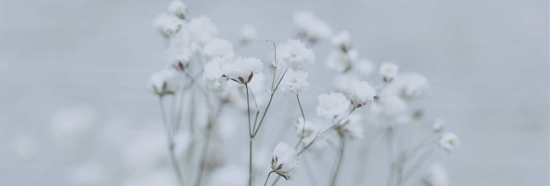 When we do it right – Mid-life can lead you to the most incredible life.